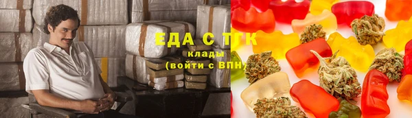 гидра Горняк