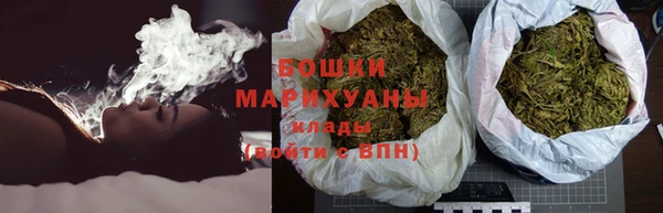 гидра Горняк