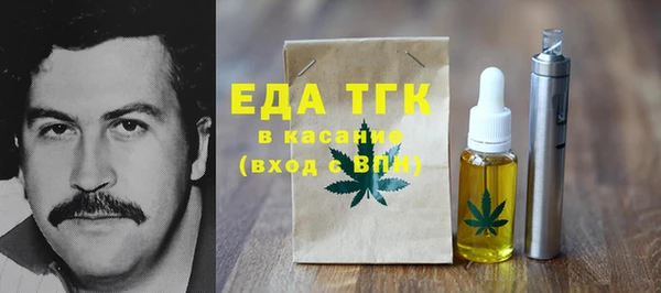 гидра Горняк