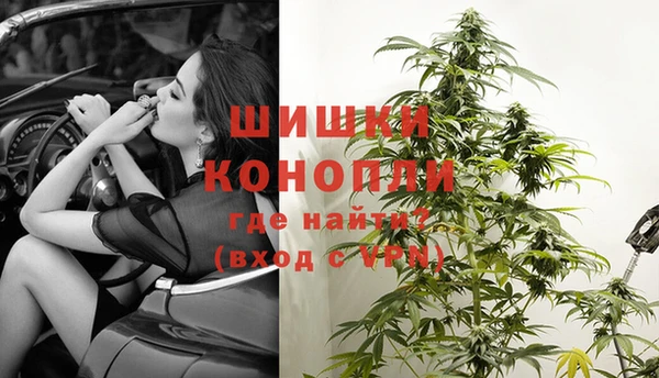 гидра Горняк