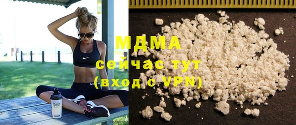 гидра Горняк