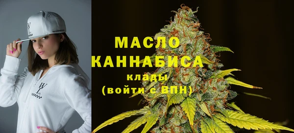 гидра Горняк