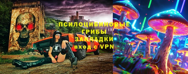 гидра Горняк