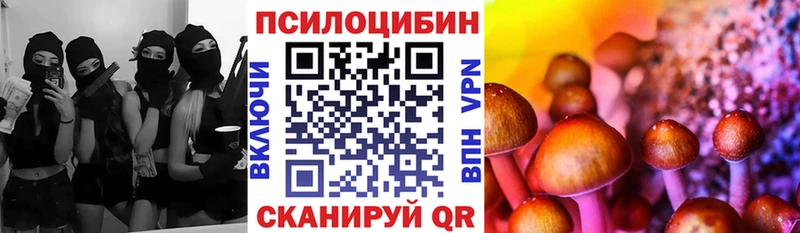 Галлюциногенные грибы Cubensis купить наркотик Дивногорск